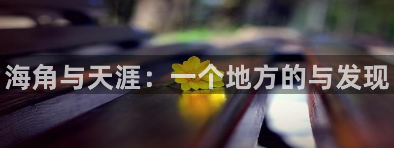 海角社区人员：海角与天涯：一个地方的与发现