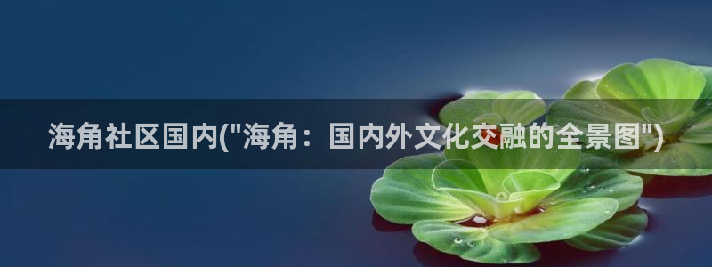海角c社区：海角社区国内(\