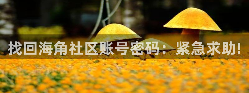 海角社区海角论坛下载：找回海角社区账号密码：紧急求助!
