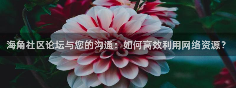 海角社区hj7e：海角社区论坛与您的沟通：如何高效利用网络资源？