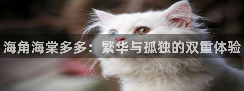 海角社区ios：海角海棠多多：繁华与孤独的双重体验