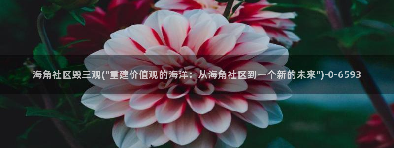 海角社区地：海角社区毁三观(\