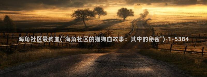 海角社区回老家的火车上：海角社区最狗血(\