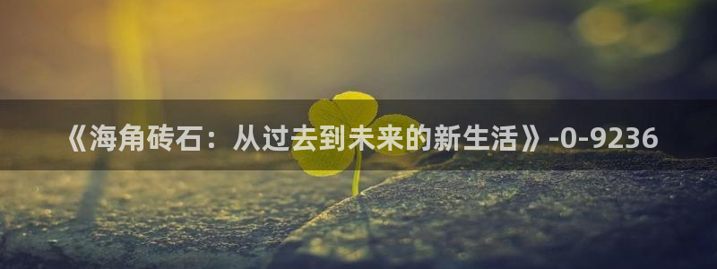 海角社区id：《海角砖石：从过去到未来的新生活》